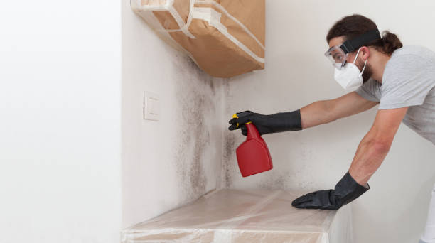 Professional Black Mold Remediation technician working in Huntington, NY