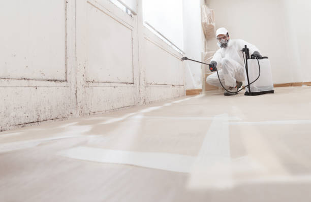 24/7 Emergency Black Mold Remediation experts in Huntington, NY